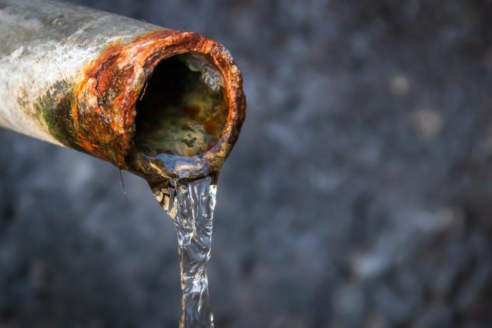 Die Gefahr von Coliformen Bakterien & Keimen im Trinkwasser WellBlue GmbH