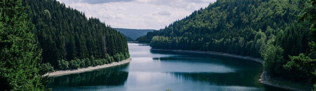 Wasserarten Oberflächenwasser